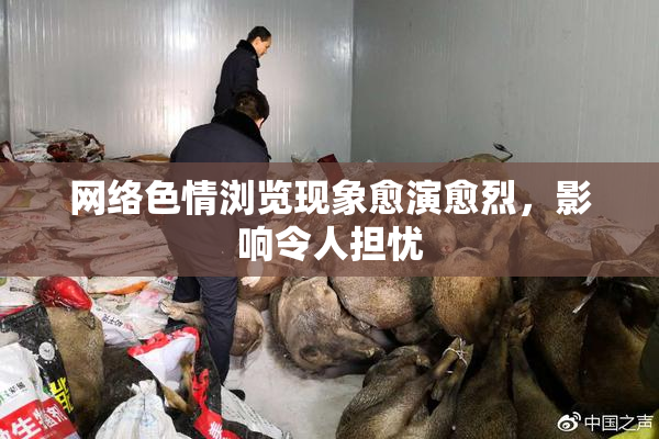 网络色情浏览现象愈演愈烈，影响令人担忧