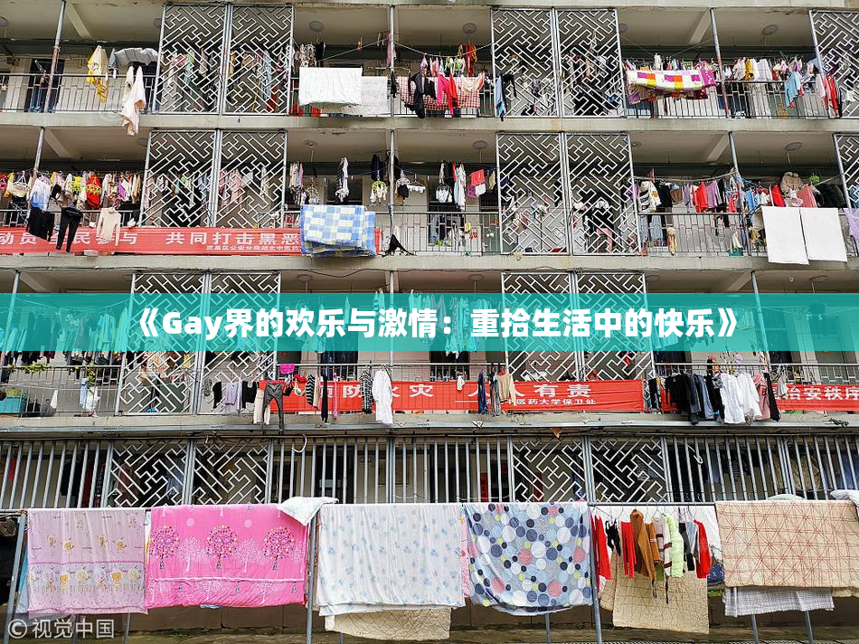 《Gay界的欢乐与激情：重拾生活中的快乐》