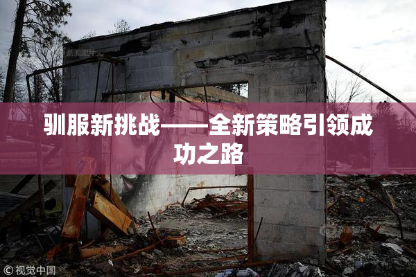 驯服新挑战——全新策略引领成功之路