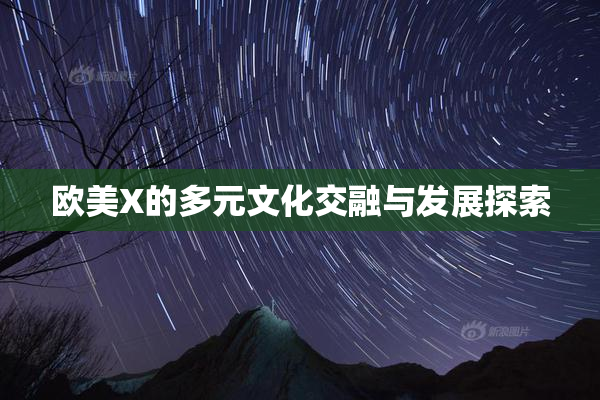欧美X的多元文化交融与发展探索
