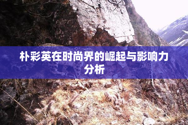 朴彩英在时尚界的崛起与影响力分析