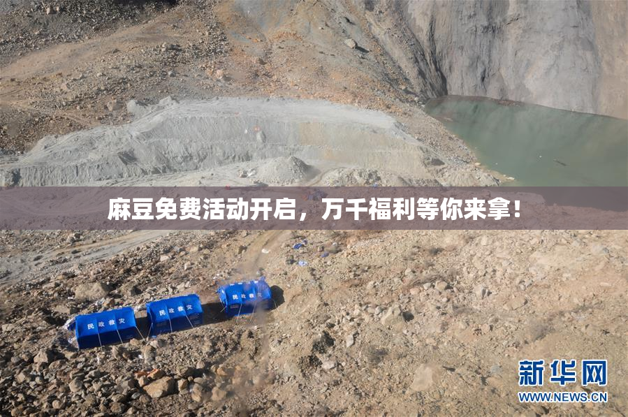 麻豆免费活动开启，万千福利等你来拿！
