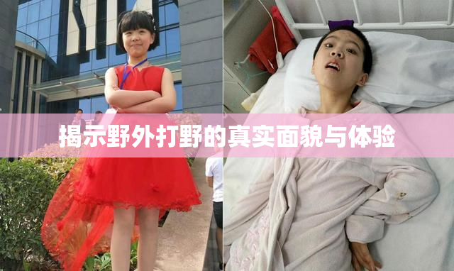 揭示野外打野的真实面貌与体验
