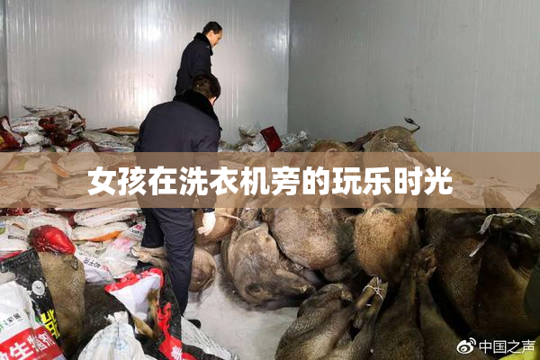 女孩在洗衣机旁的玩乐时光