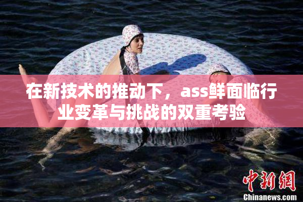 在新技术的推动下，ass鲜面临行业变革与挑战的双重考验