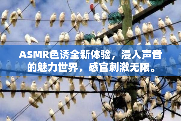 ASMR色诱全新体验，浸入声音的魅力世界，感官刺激无限。