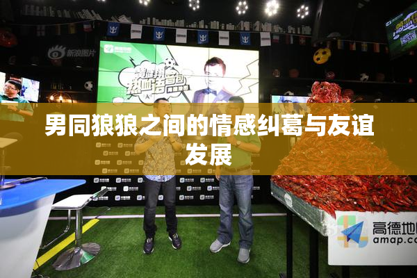 男同狼狼之间的情感纠葛与友谊发展