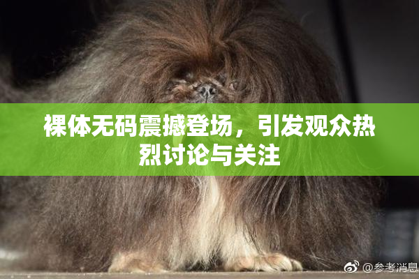 裸体无码震撼登场，引发观众热烈讨论与关注