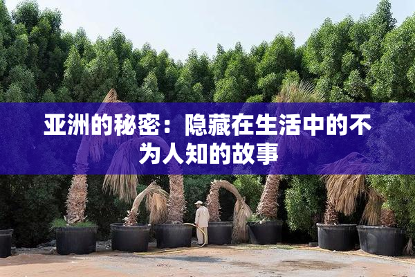 亚洲的秘密：隐藏在生活中的不为人知的故事