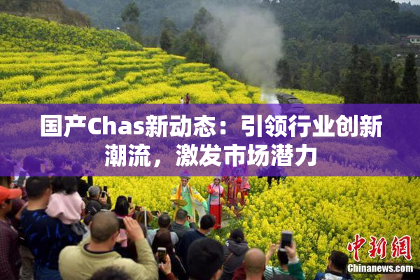 国产Chas新动态：引领行业创新潮流，激发市场潜力