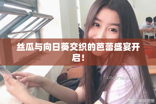 丝瓜与向日葵交织的芭蕾盛宴开启！