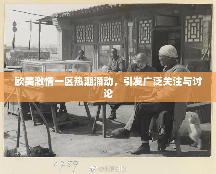 欧美激情一区热潮涌动，引发广泛关注与讨论