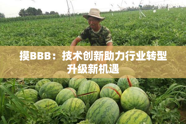 摸BBB：技术创新助力行业转型升级新机遇