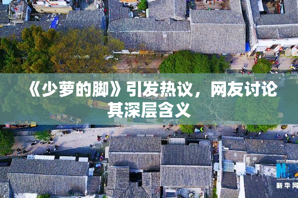 《少萝的脚》引发热议，网友讨论其深层含义