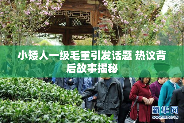 小矮人一级毛重引发话题 热议背后故事揭秘