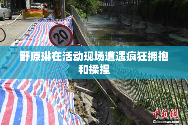 野原琳在活动现场遭遇疯狂拥抱和揉捏