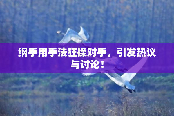 纲手用手法狂揉对手，引发热议与讨论！