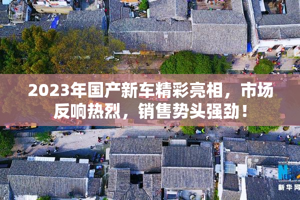 2023年国产新车精彩亮相，市场反响热烈，销售势头强劲！