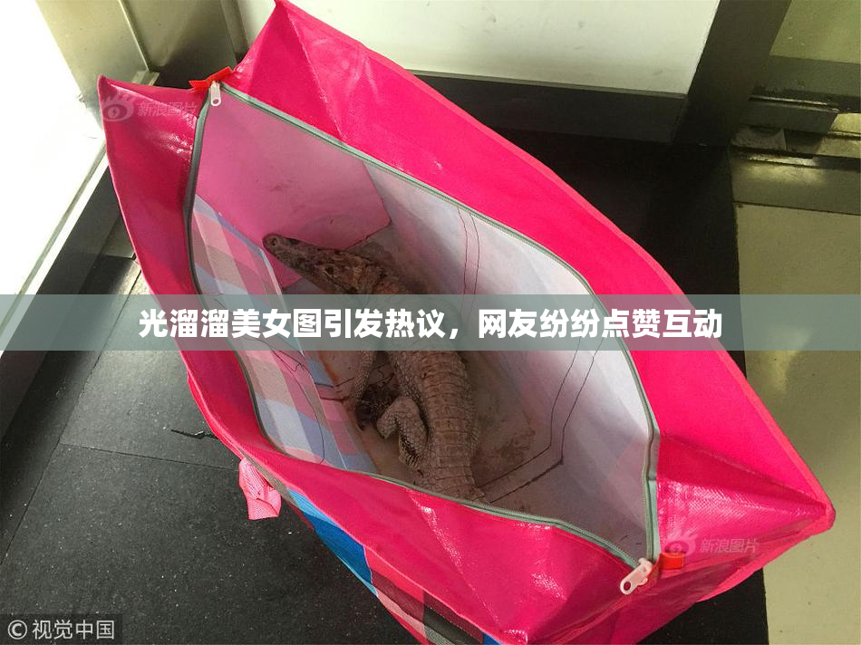 光溜溜美女图引发热议，网友纷纷点赞互动