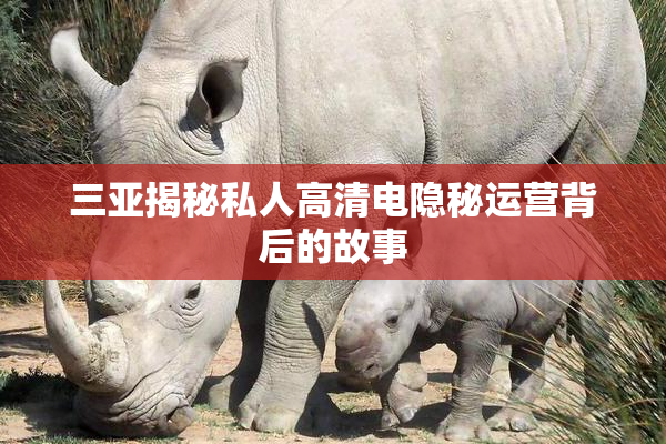 三亚揭秘私人高清电隐秘运营背后的故事