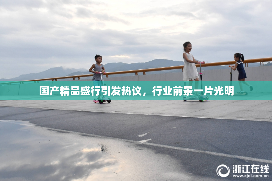 国产精品盛行引发热议，行业前景一片光明