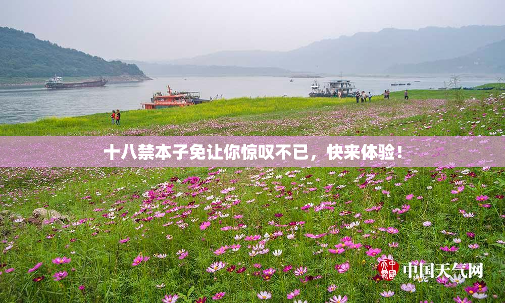 十八禁本子免让你惊叹不已，快来体验！