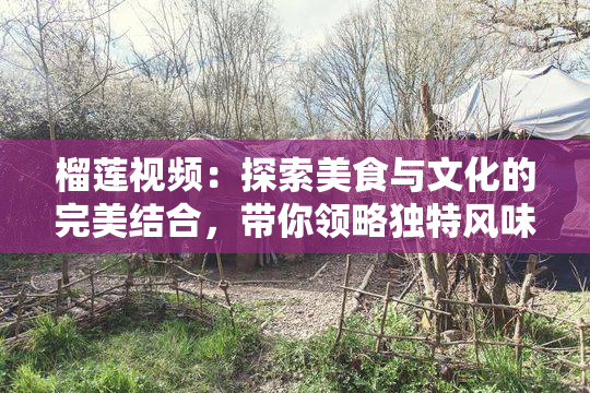 榴莲视频：探索美食与文化的完美结合，带你领略独特风味