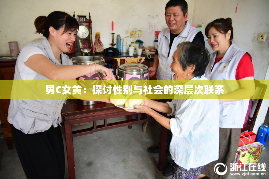 男C女黄：探讨性别与社会的深层次联系