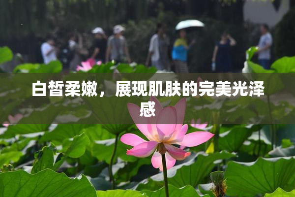 白皙柔嫩，展现肌肤的完美光泽感