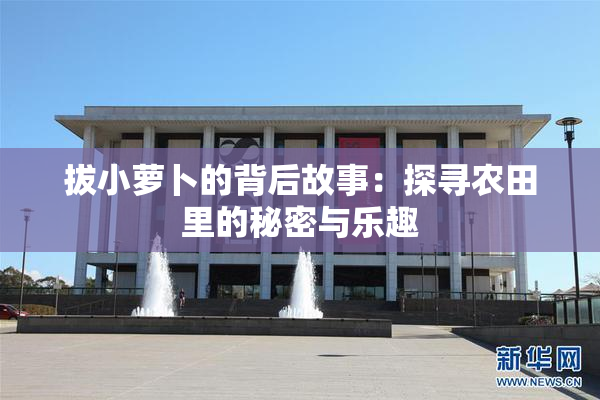 拔小萝卜的背后故事：探寻农田里的秘密与乐趣