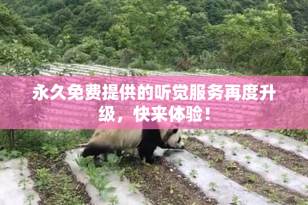 永久免费提供的听觉服务再度升级，快来体验！