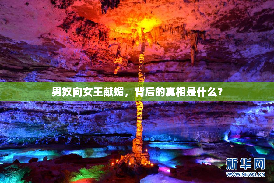 男奴向女王献媚，背后的真相是什么？