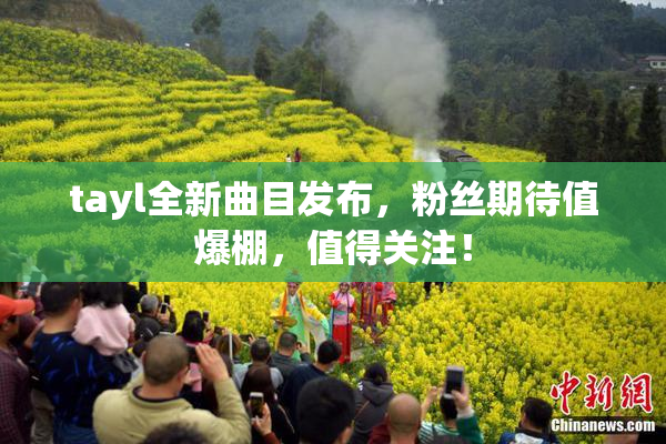 tayl全新曲目发布，粉丝期待值爆棚，值得关注！