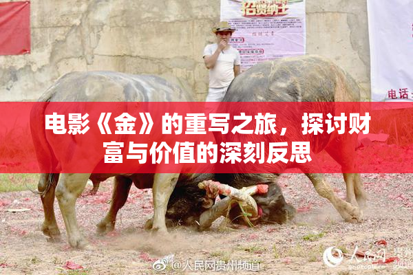 电影《金》的重写之旅，探讨财富与价值的深刻反思