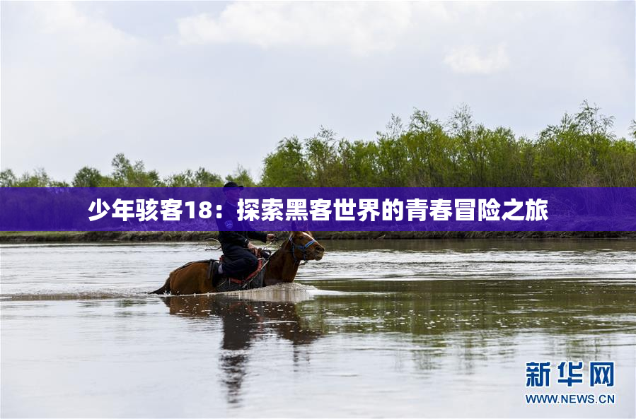 少年骇客18：探索黑客世界的青春冒险之旅