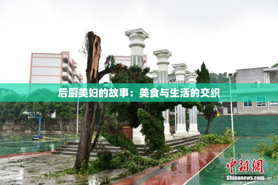 后厨美妇的故事：美食与生活的交织