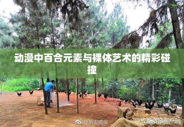 动漫中百合元素与裸体艺术的精彩碰撞