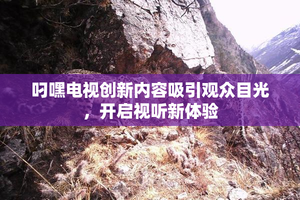 叼嘿电视创新内容吸引观众目光，开启视听新体验