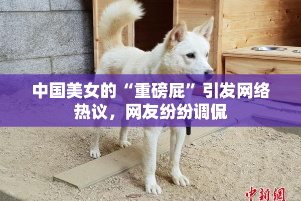 中国美女的“重磅屁”引发网络热议，网友纷纷调侃