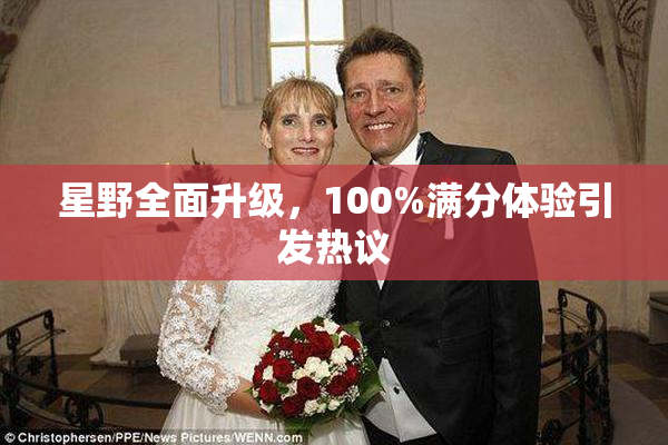 星野全面升级，100%满分体验引发热议