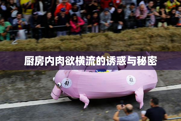 厨房内肉欲横流的诱惑与秘密
