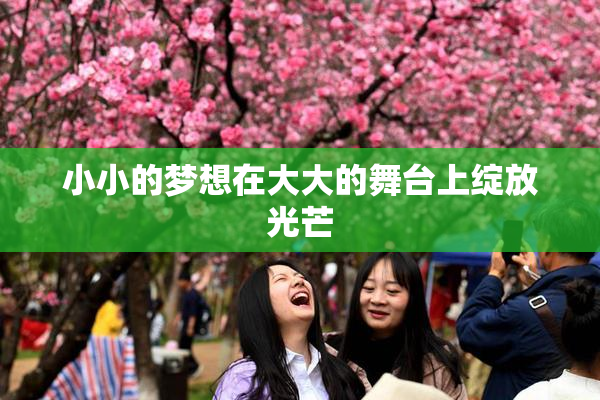 小小的梦想在大大的舞台上绽放光芒
