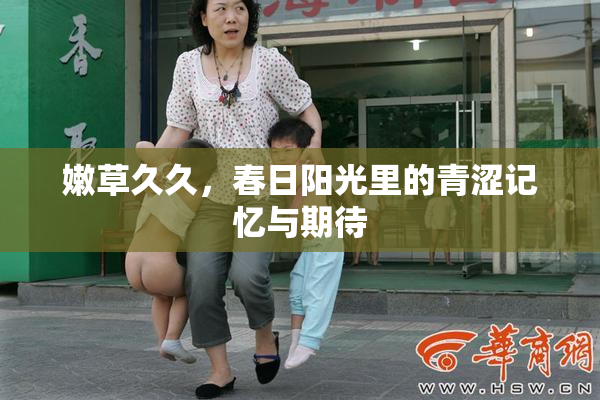 嫩草久久，春日阳光里的青涩记忆与期待