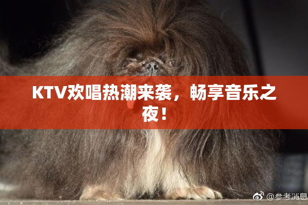 KTV欢唱热潮来袭，畅享音乐之夜！