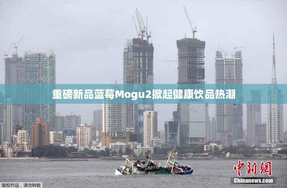 重磅新品蓝莓Mogu2掀起健康饮品热潮