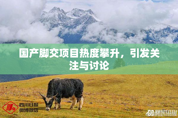 国产脚交项目热度攀升，引发关注与讨论