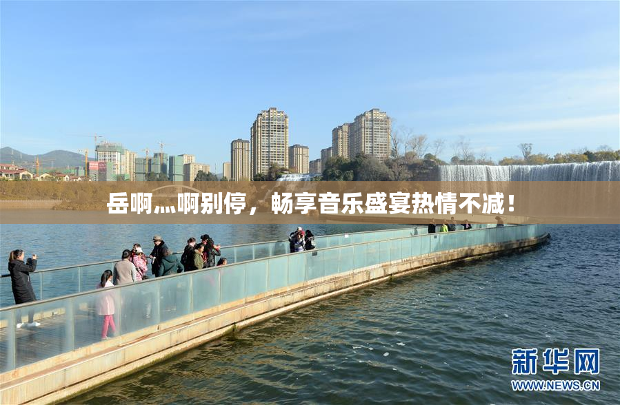 岳啊灬啊别停，畅享音乐盛宴热情不减！