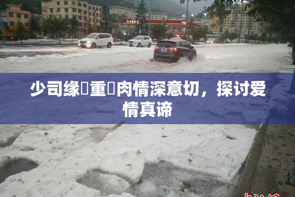 少司缘婬重泬肉情深意切，探讨爱情真谛