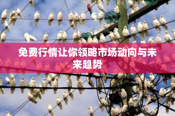 免费行情让你领略市场动向与未来趋势