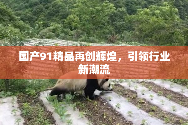 国产91精品再创辉煌，引领行业新潮流
